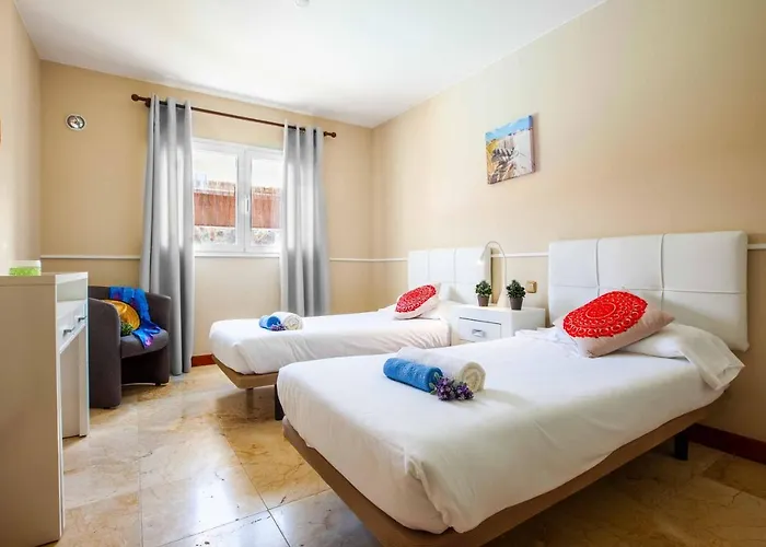 فيلة Field Dreams